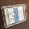 Rustic Birch Wax Melts